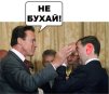Аватар користувача