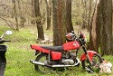 Аватар користувача
