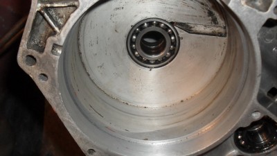 SDC12530.JPG