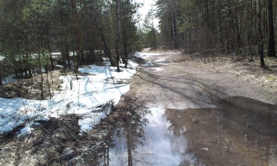 IMAG0727.jpg