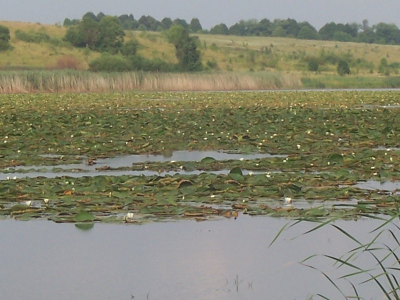 100_4688.JPG