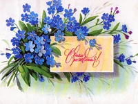 bca0edad9d896bfc5b011a1631655deb_1262473820_img194.jpg