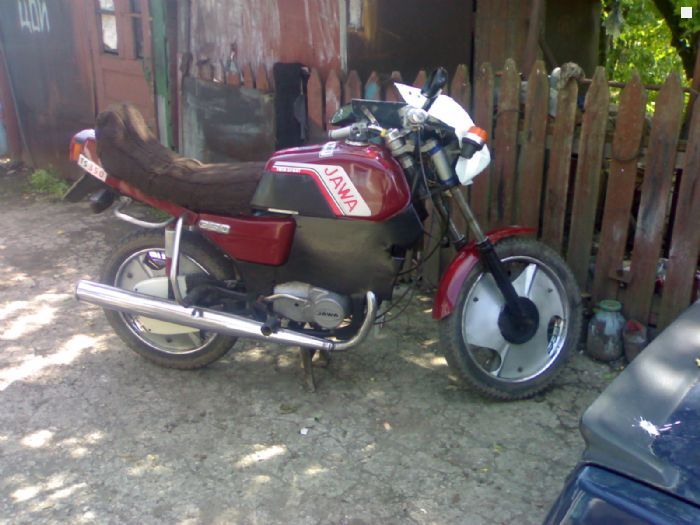 image1.jpg