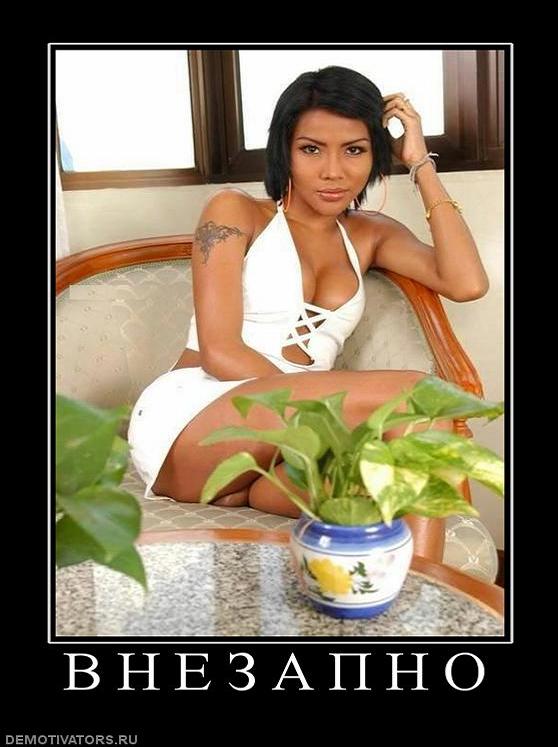694220_v-n-e-z-a-p-n-o3.JPG