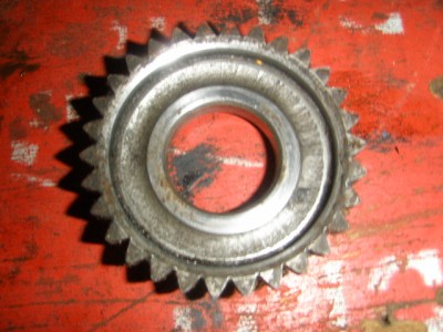 P1276240.JPG